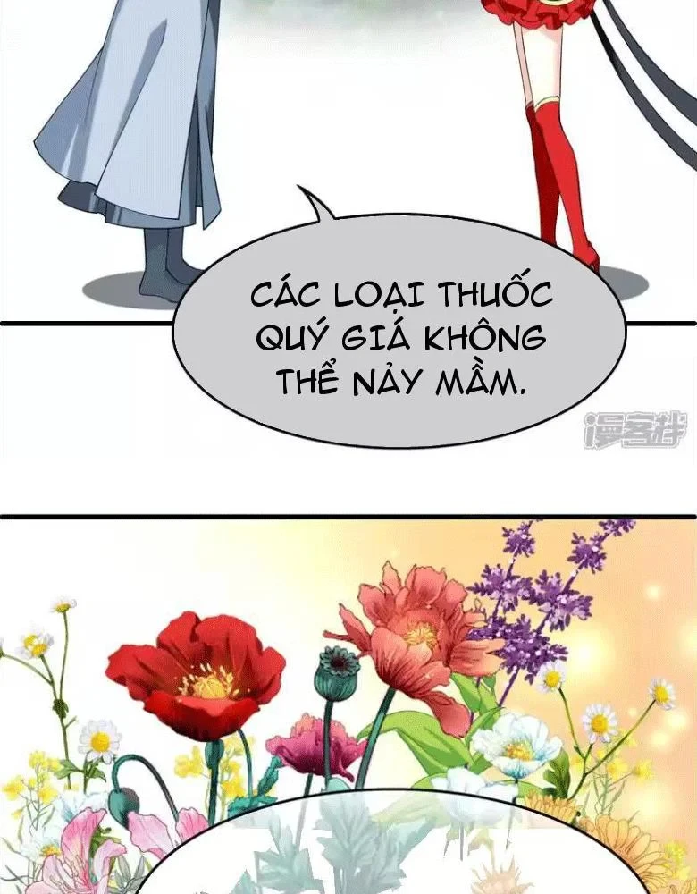 Phong Khởi Thương Lam Chapter 745 - 11