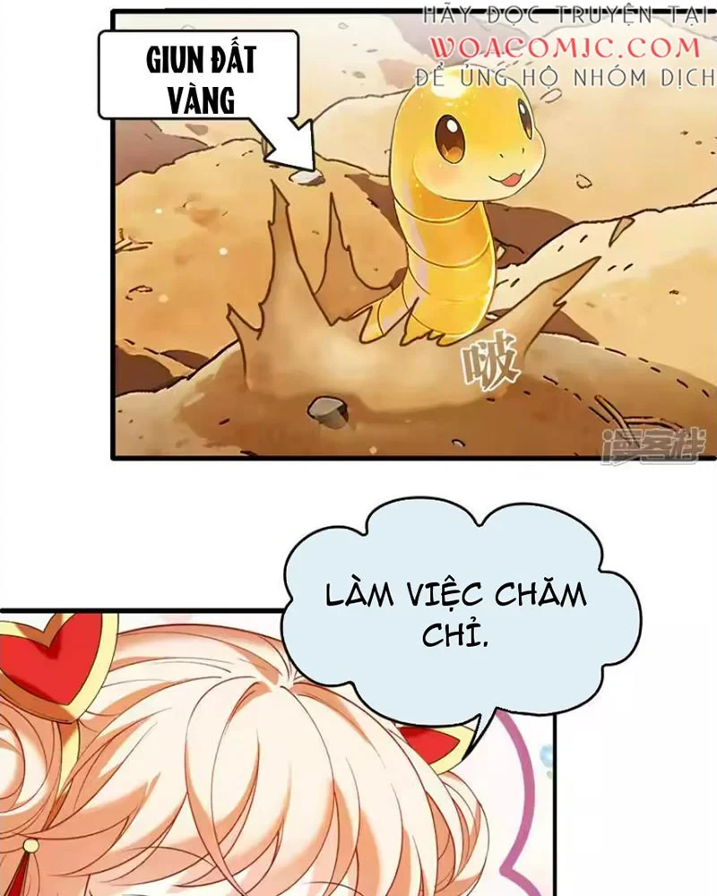 Phong Khởi Thương Lam Chapter 746 - 10