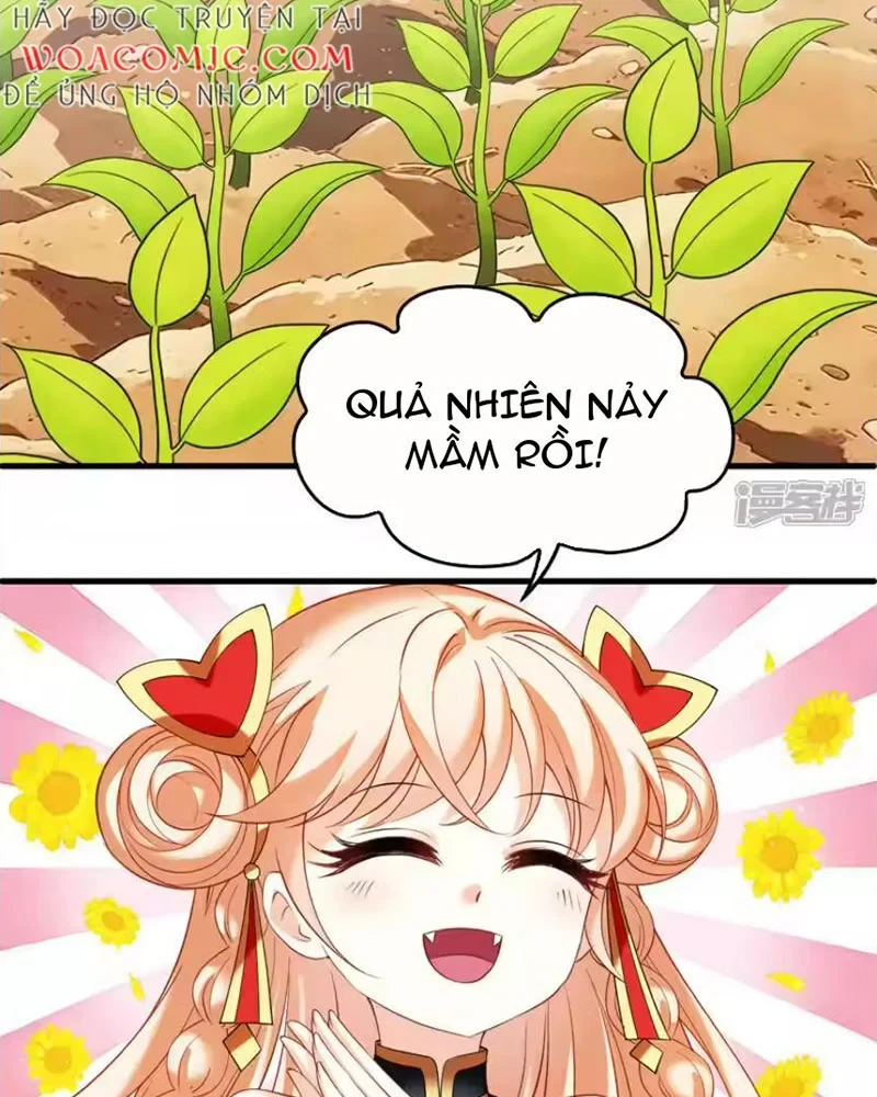 Phong Khởi Thương Lam Chapter 746 - 12