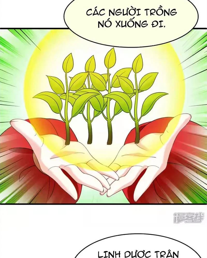 Phong Khởi Thương Lam Chapter 746 - 15