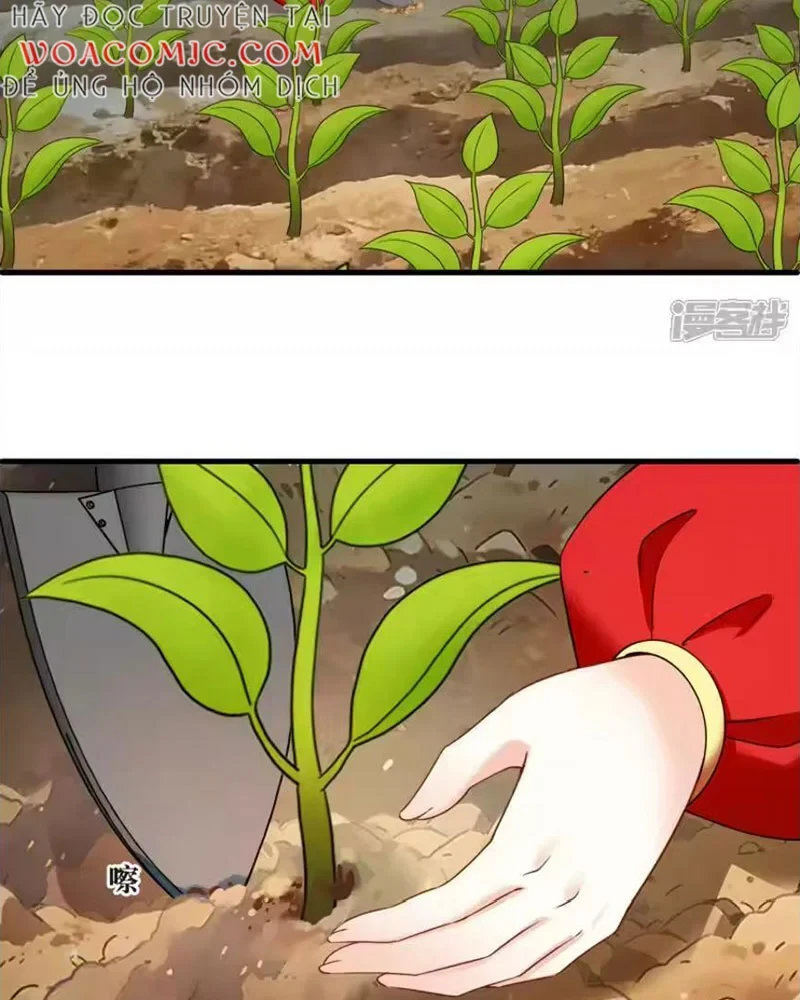 Phong Khởi Thương Lam Chapter 746 - 27