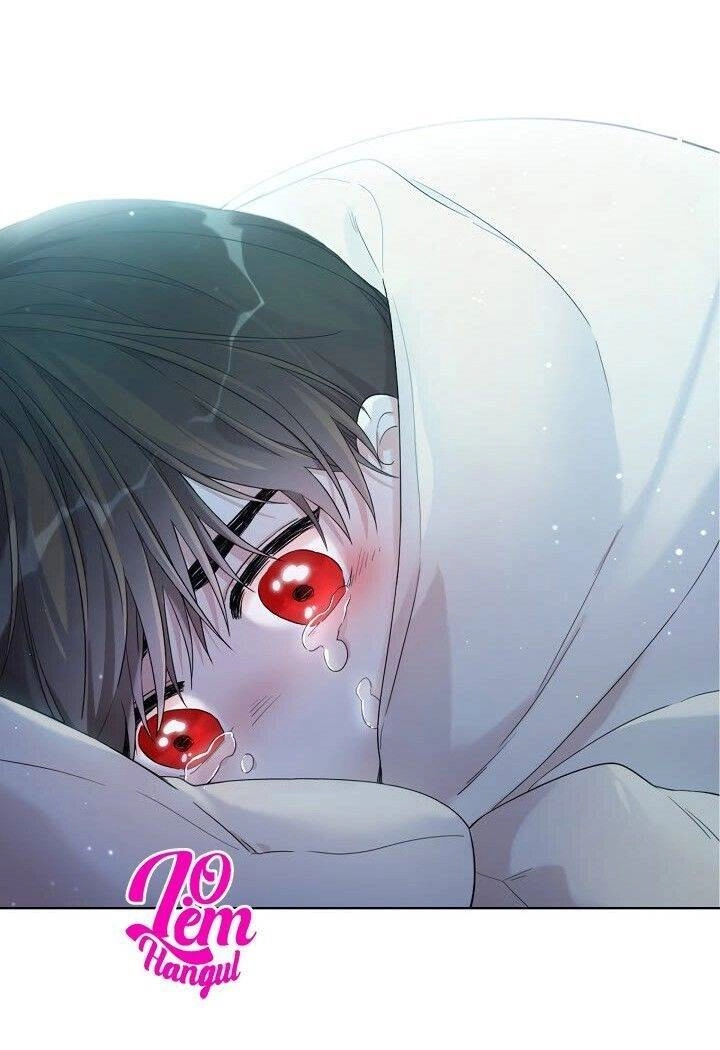 Tôi Là Mẹ Kế Của Nam Chính Chapter 15 - 29