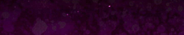 Tôi Là Mẹ Kế Của Nam Chính Chapter 65.1 - 178