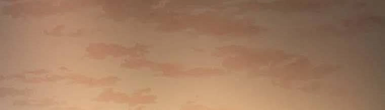 Bạn Trai Vệ Sĩ Chapter 58 - 199