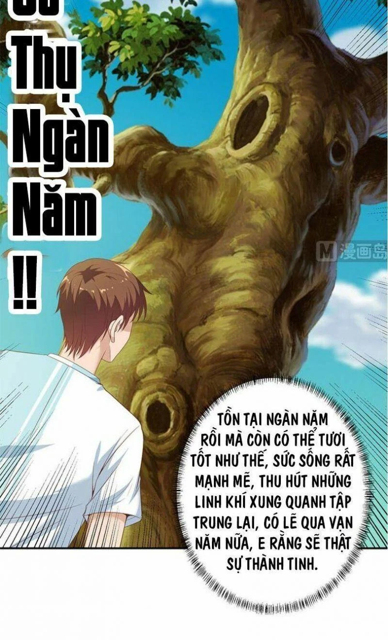 Tu Tiên Trở Về Tại Vườn Trường Chapter 11 - 5