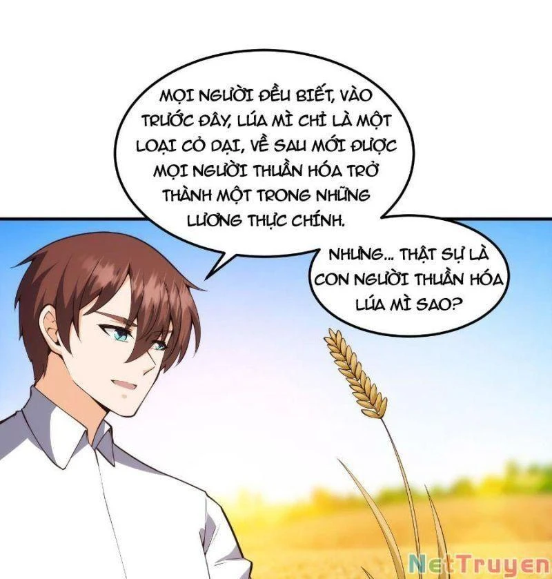 Tu Tiên Trở Về Tại Vườn Trường Chapter 394 - 5