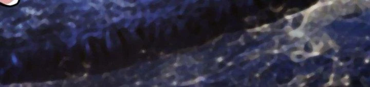 Tu Tiên Trở Về Tại Vườn Trường Chapter 439 - 119