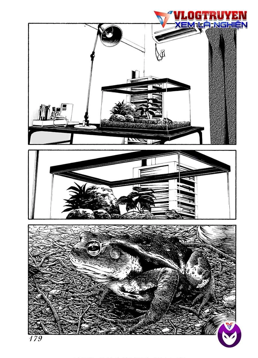 Dịch Vụ Trả Thù Ngoại Truyện Chapter 80 - 20