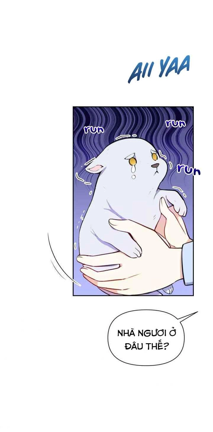 Người Bảo Hộ Của Bạo Quân Là Ma Nữ Tàn Độc Chapter 5 - 38