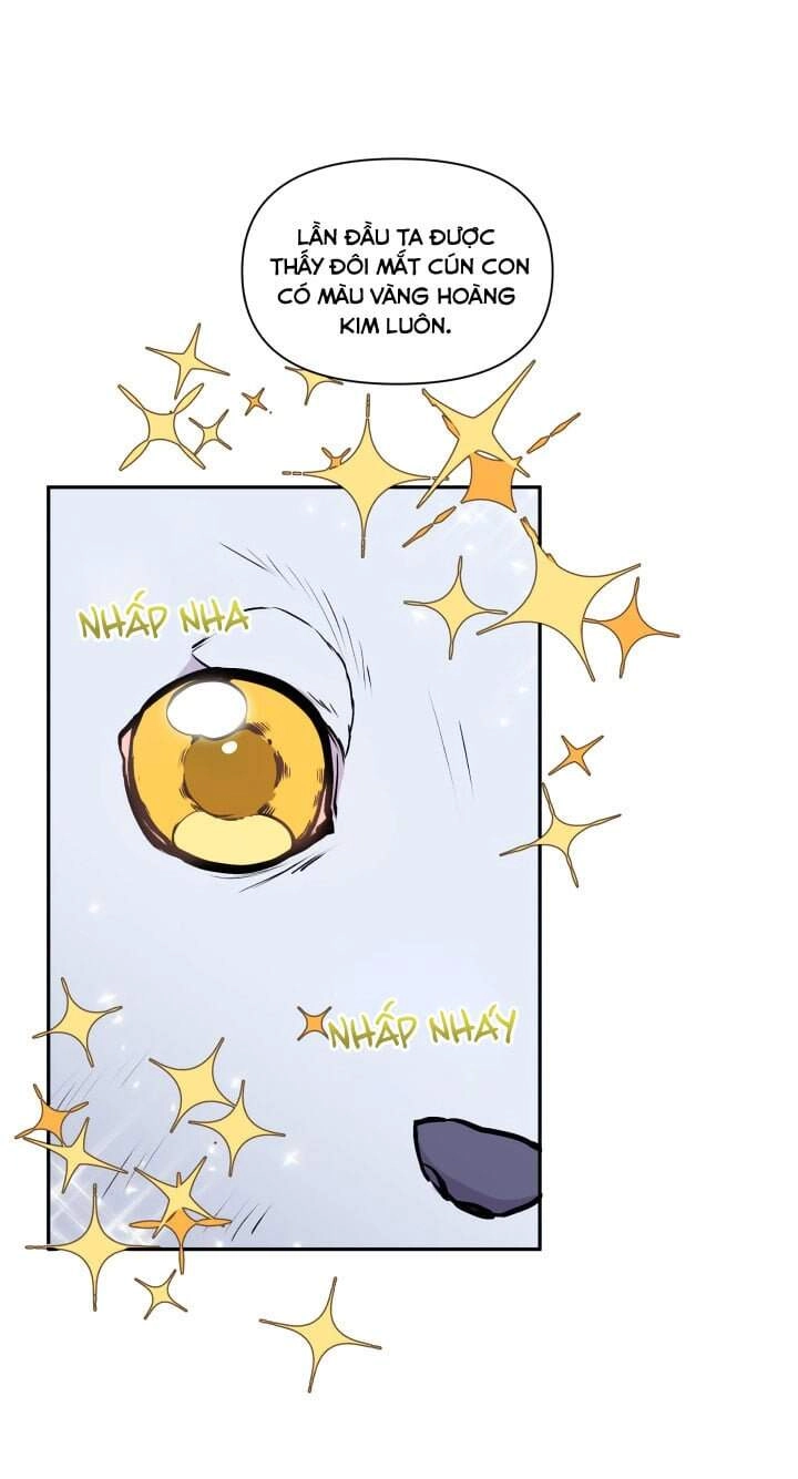 Người Bảo Hộ Của Bạo Quân Là Ma Nữ Tàn Độc Chapter 6 - 34