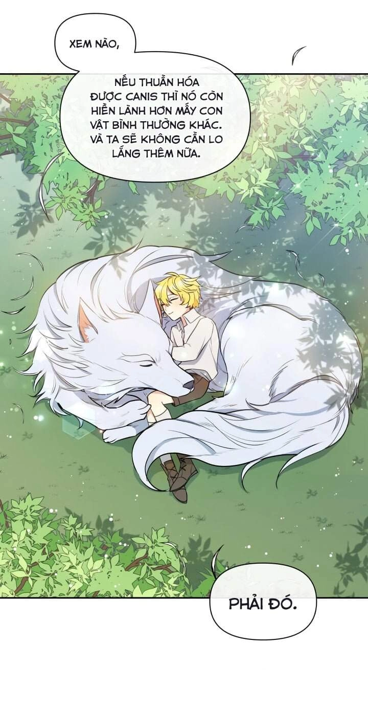 Người Bảo Hộ Của Bạo Quân Là Ma Nữ Tàn Độc Chapter 6 - 52