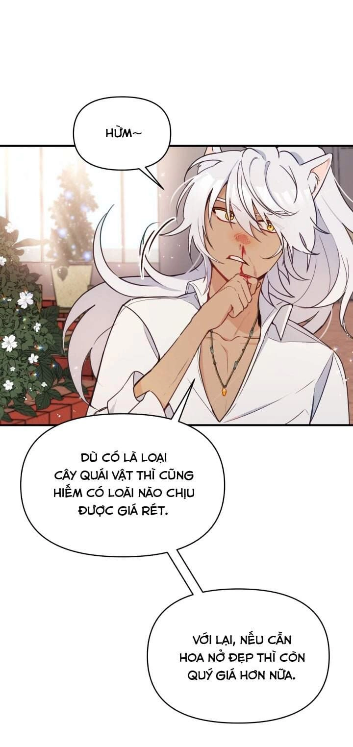 Người Bảo Hộ Của Bạo Quân Là Ma Nữ Tàn Độc Chapter 15 - 21