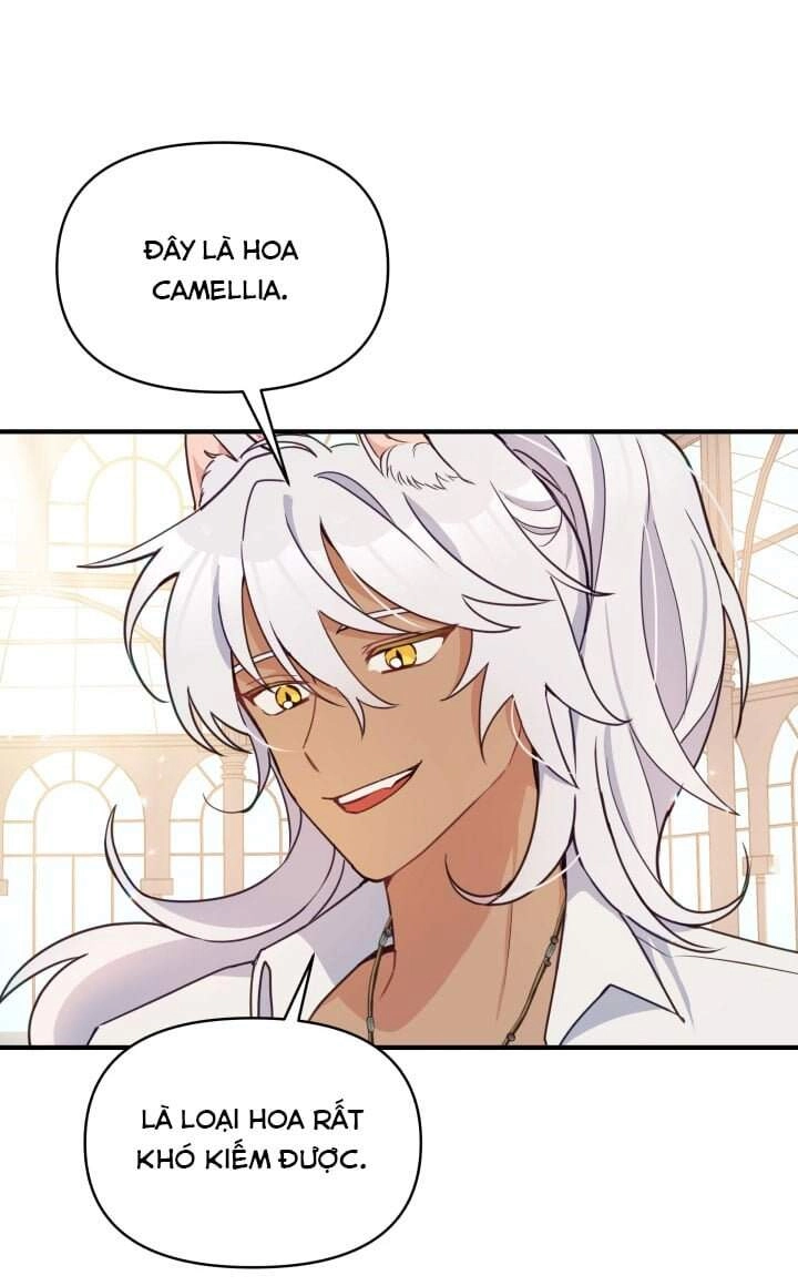 Người Bảo Hộ Của Bạo Quân Là Ma Nữ Tàn Độc Chapter 15 - 37