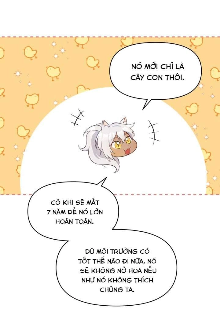 Người Bảo Hộ Của Bạo Quân Là Ma Nữ Tàn Độc Chapter 15 - 70