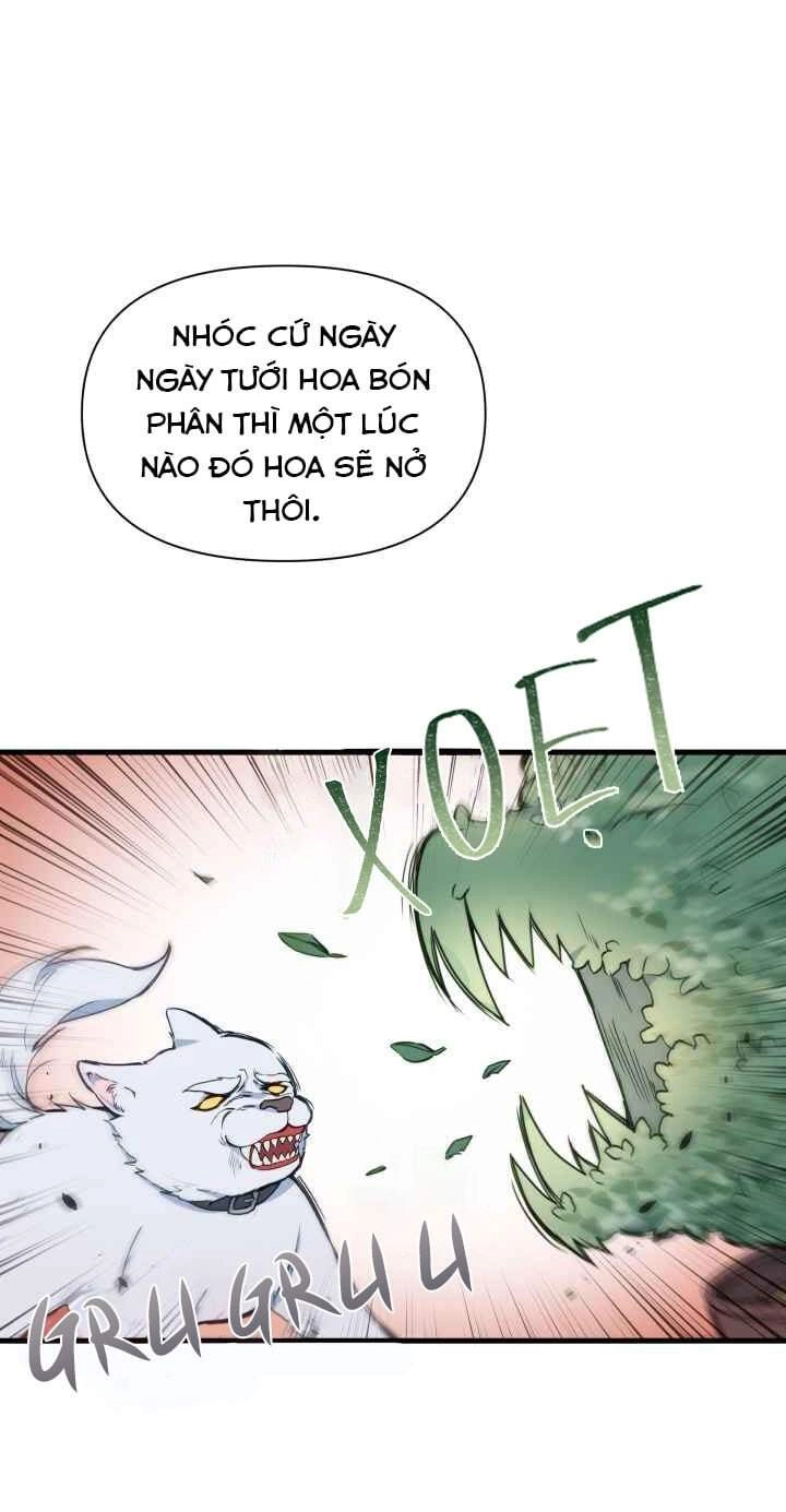 Người Bảo Hộ Của Bạo Quân Là Ma Nữ Tàn Độc Chapter 16 - 67