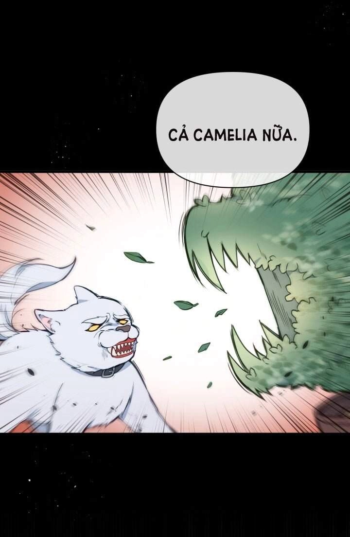 Người Bảo Hộ Của Bạo Quân Là Ma Nữ Tàn Độc Chapter 17 - 32