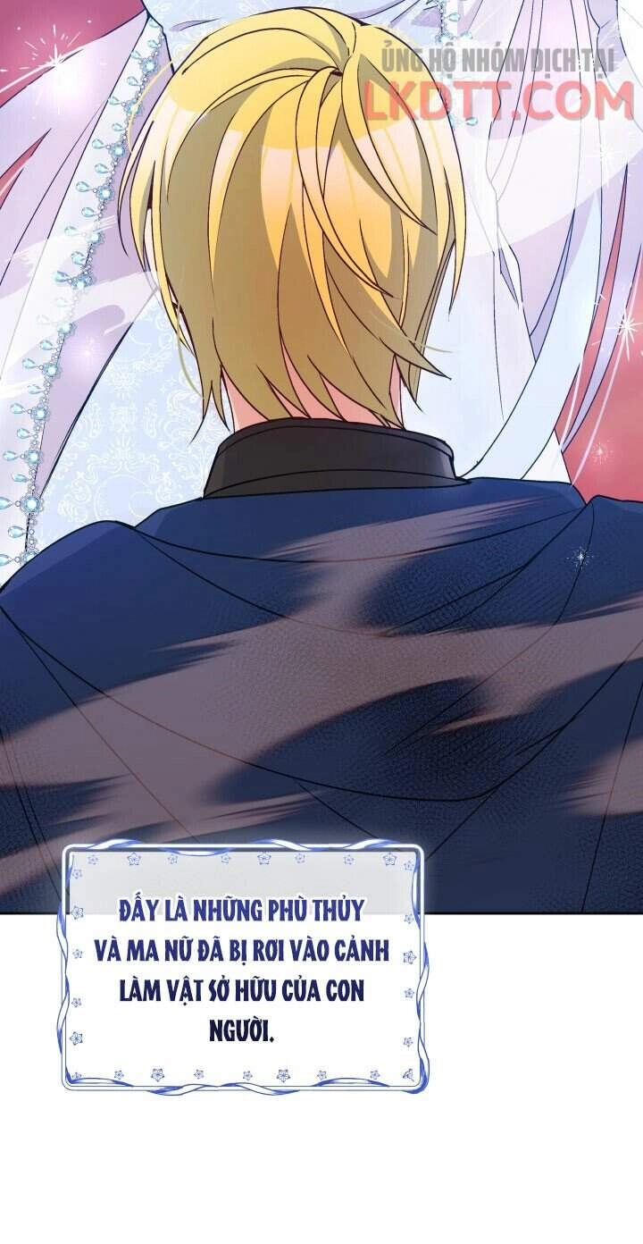 Người Bảo Hộ Của Bạo Quân Là Ma Nữ Tàn Độc Chapter 46 - 28