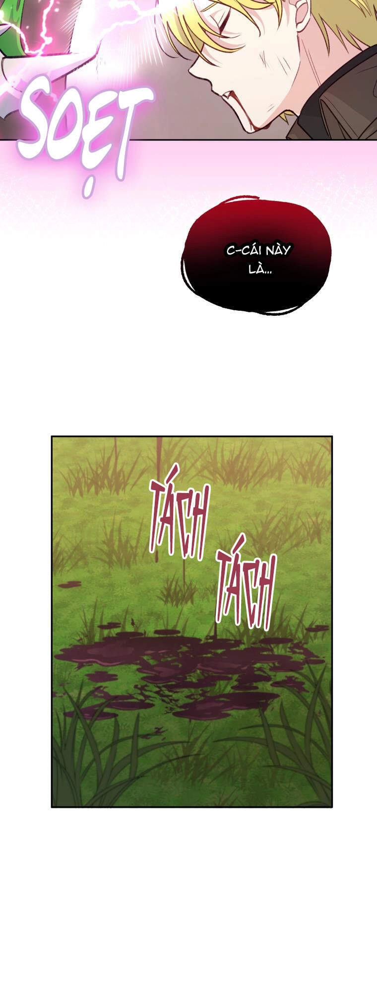 Người Bảo Hộ Của Bạo Quân Là Ma Nữ Tàn Độc Chapter 49 - 26