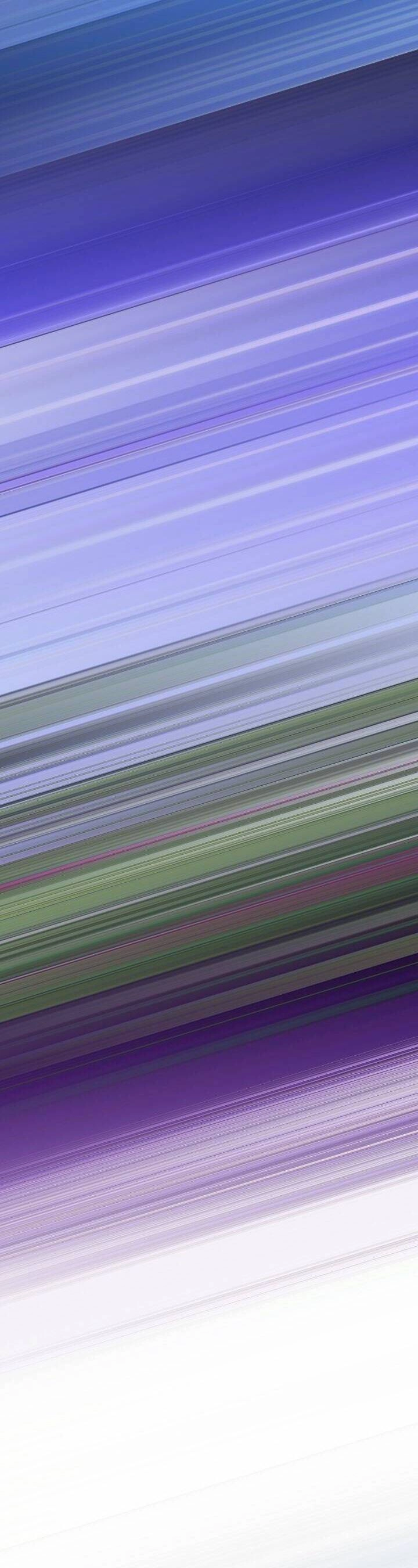 Người Bảo Hộ Của Bạo Quân Là Ma Nữ Tàn Độc Chapter 92 - 12