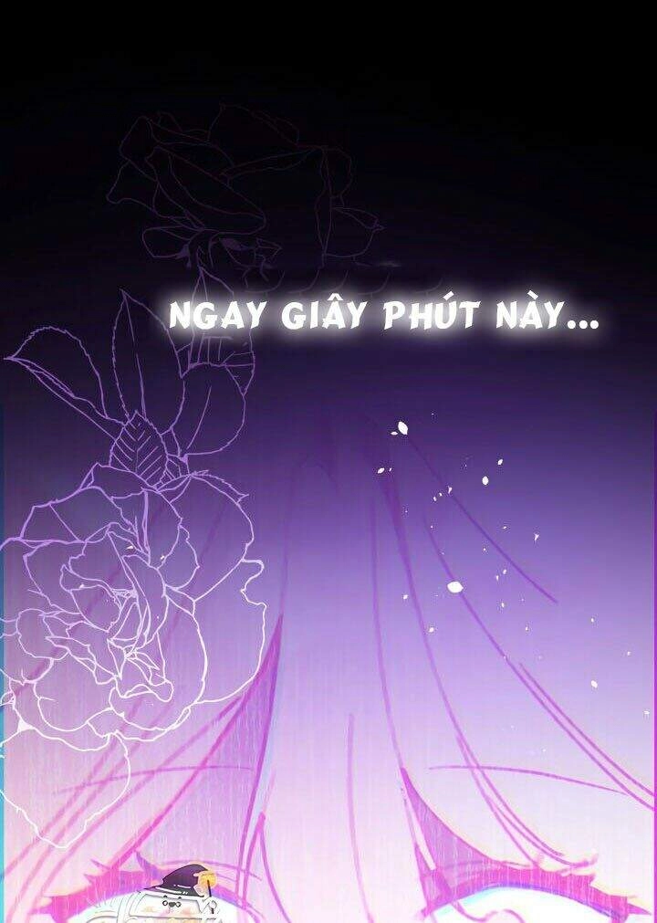 Quý Cô Khó Gần Chapter 1 - 25