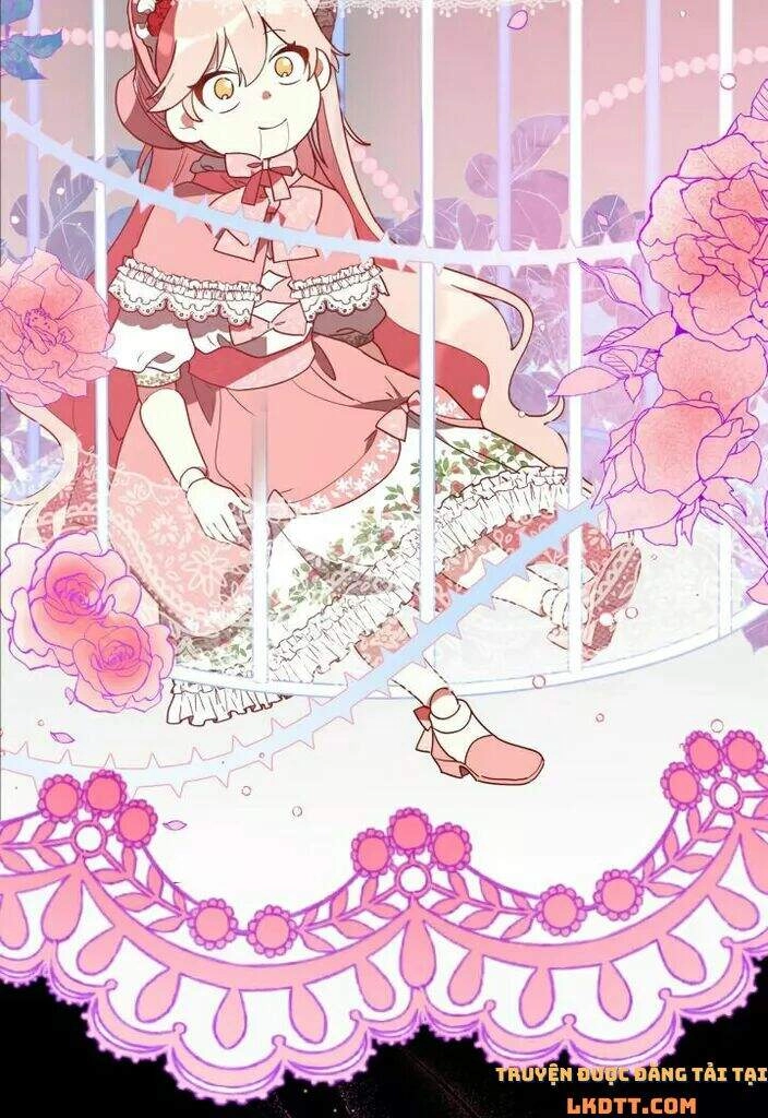 Quý Cô Khó Gần Chapter 19 - 11