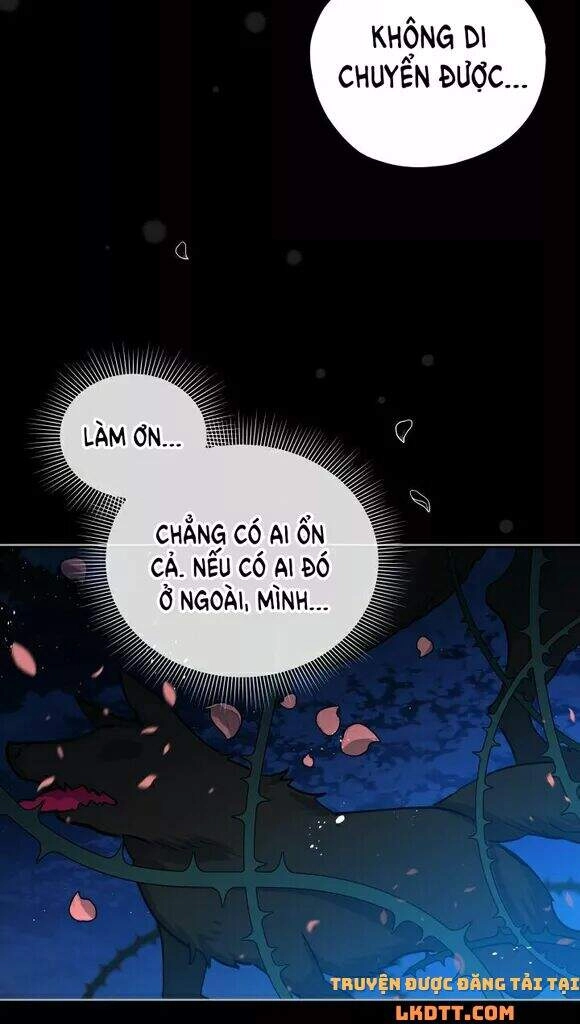 Quý Cô Khó Gần Chapter 19 - 49