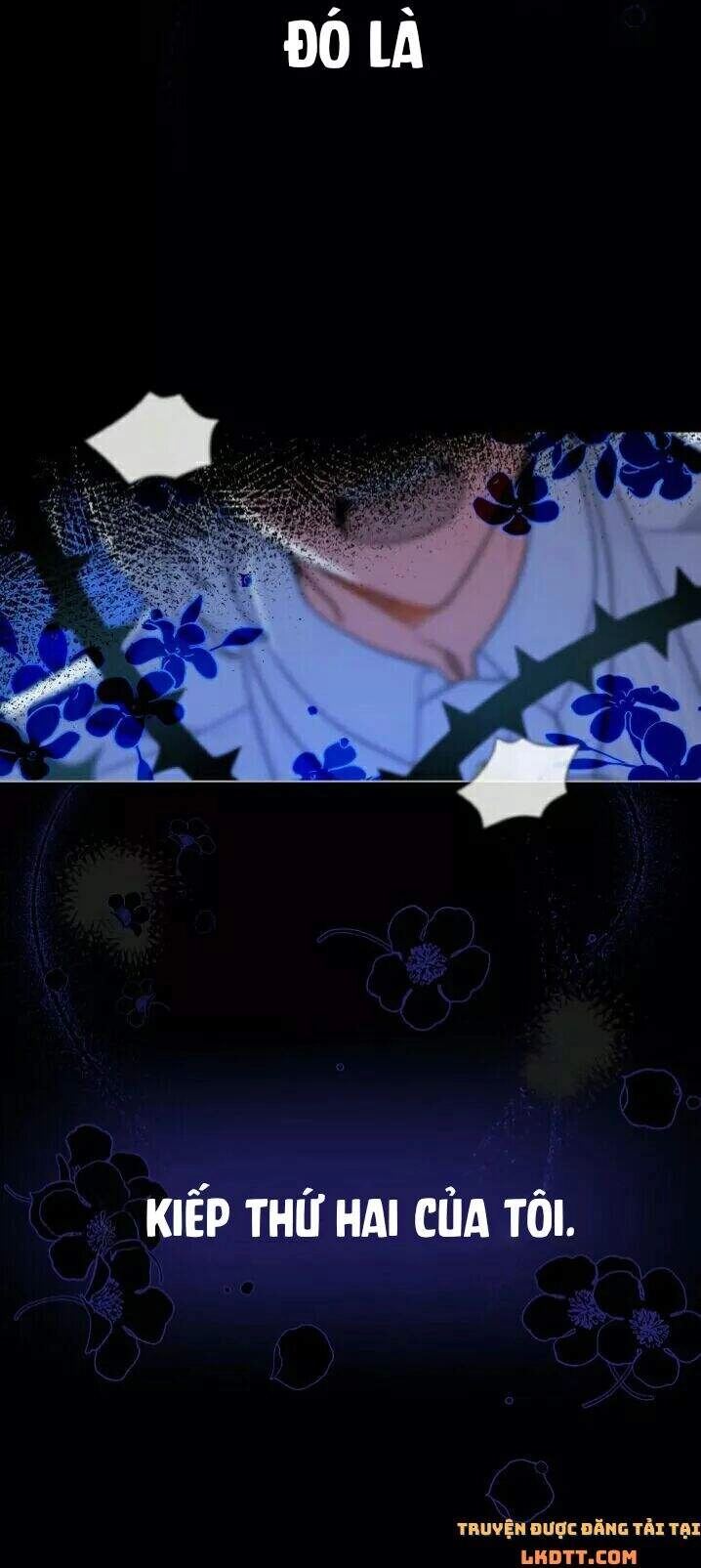 Quý Cô Khó Gần Chapter 19 - 58