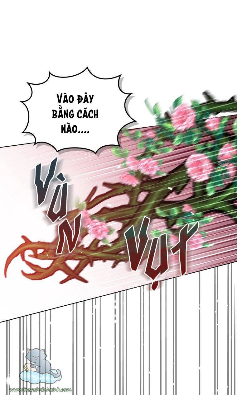 Quý Cô Khó Gần Chapter 58 - 64