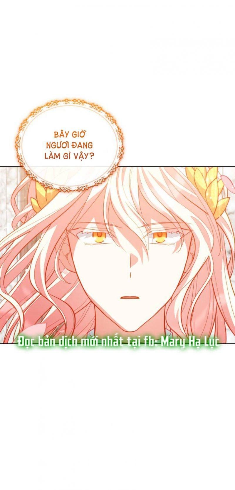 Quý Cô Khó Gần Chapter 84 - 30