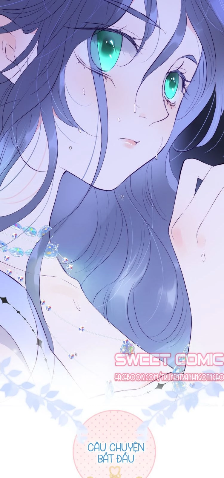 Chạy Trốn Cùng Con Nhím Chapter 1 - 11