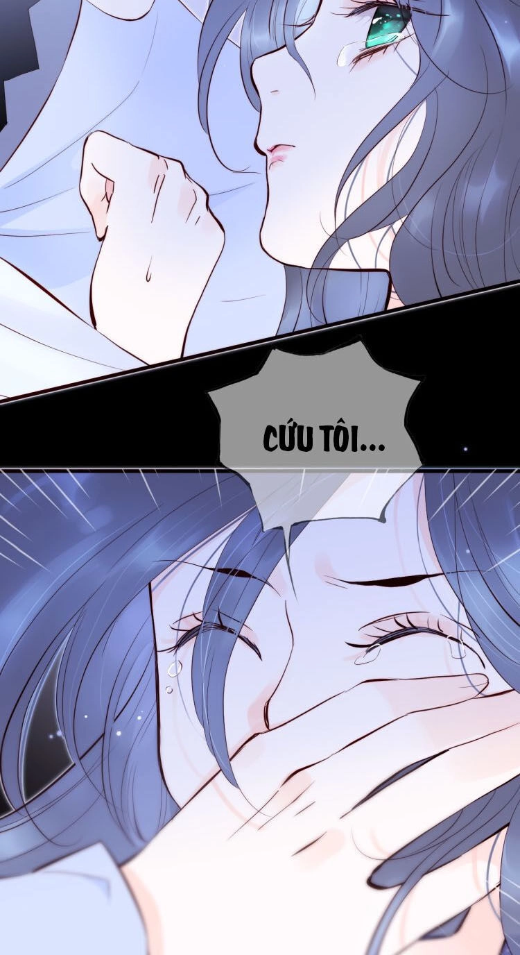 Chạy Trốn Cùng Con Nhím Chapter 1 - 43