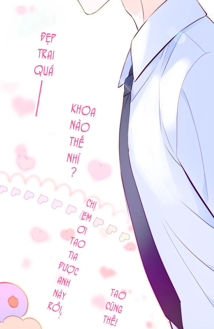 Chạy Trốn Cùng Con Nhím Chapter 1 - 80