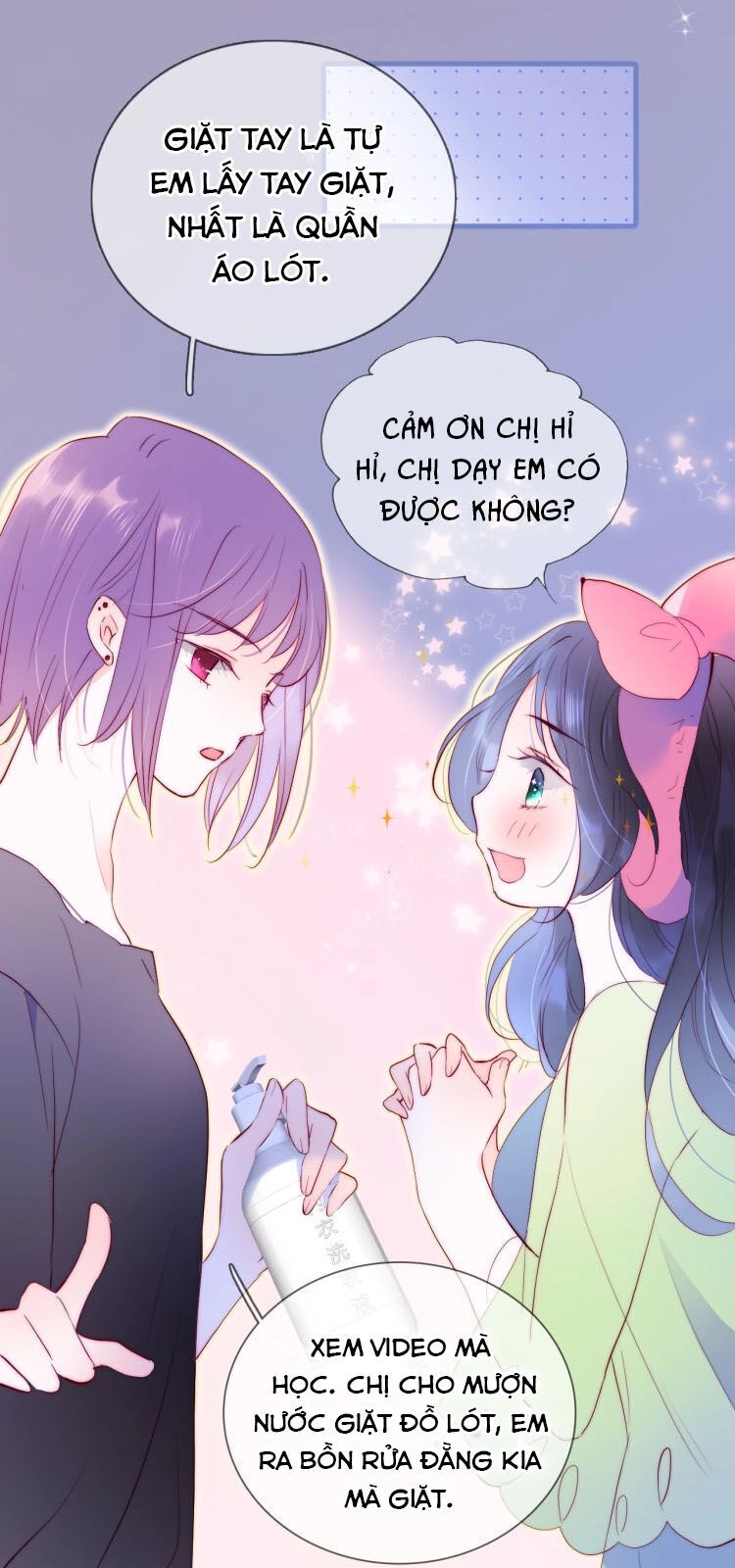 Chạy Trốn Cùng Con Nhím Chapter 2 - 6