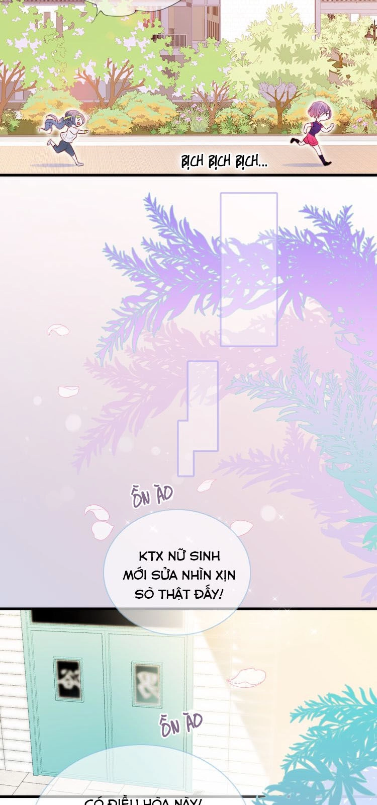 Chạy Trốn Cùng Con Nhím Chapter 2 - 36