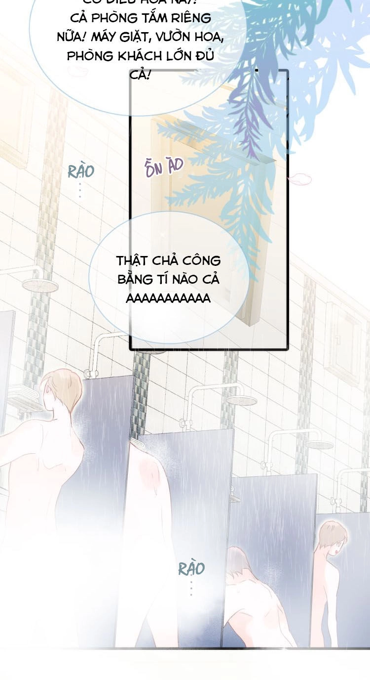 Chạy Trốn Cùng Con Nhím Chapter 2 - 37