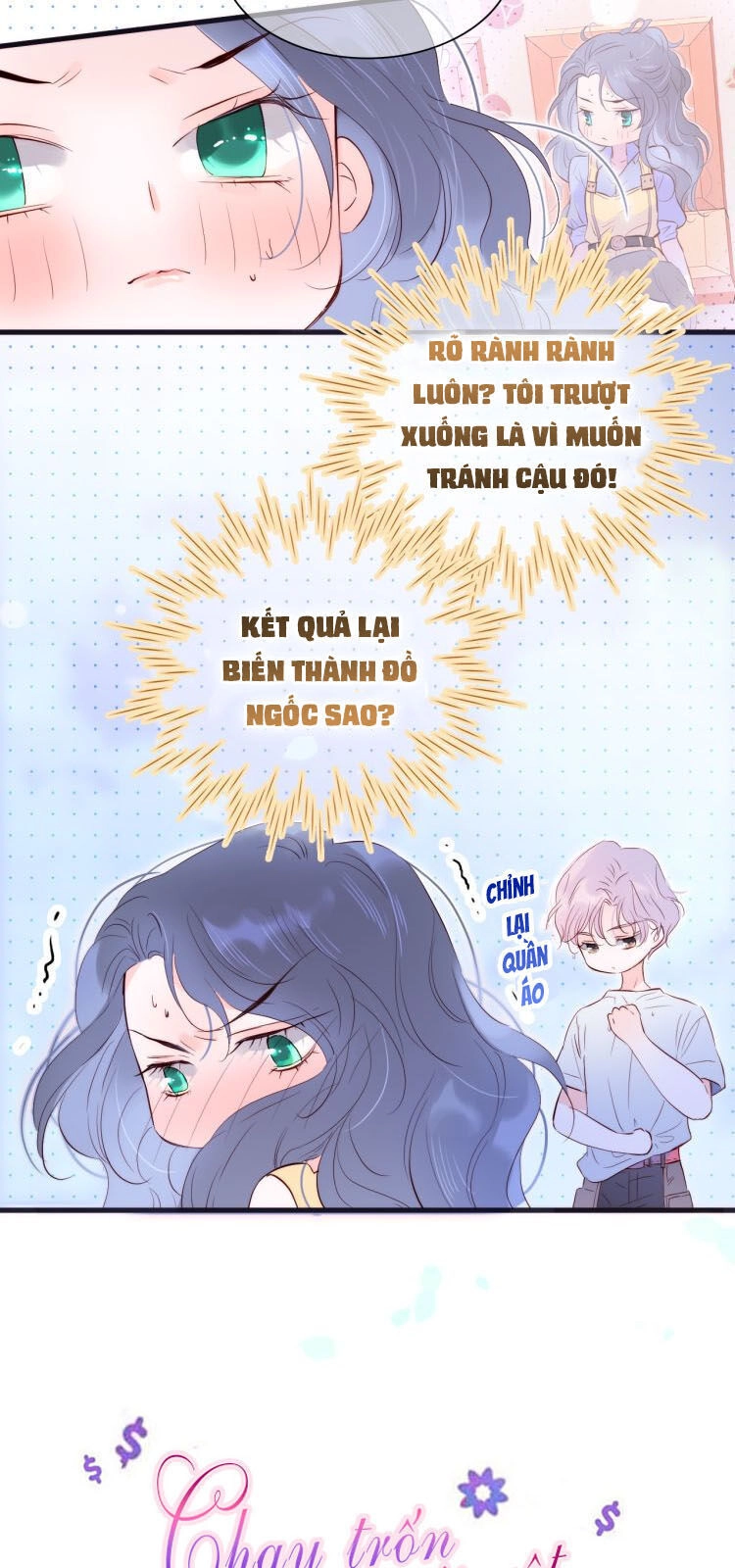 Chạy Trốn Cùng Con Nhím Chapter 4 - 8