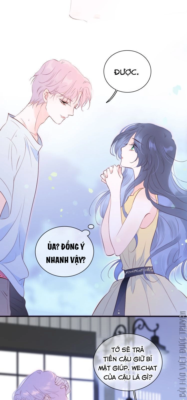 Chạy Trốn Cùng Con Nhím Chapter 4 - 11