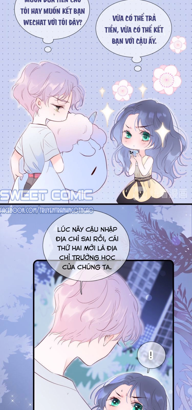 Chạy Trốn Cùng Con Nhím Chapter 4 - 17