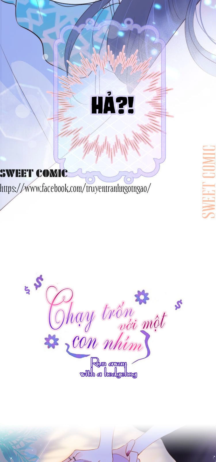 Chạy Trốn Cùng Con Nhím Chapter 6 - 6