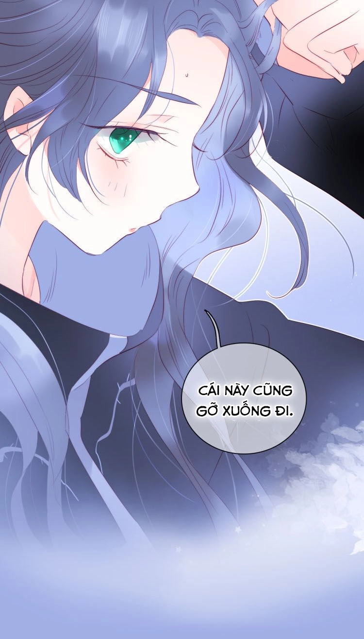 Chạy Trốn Cùng Con Nhím Chapter 7 - 50