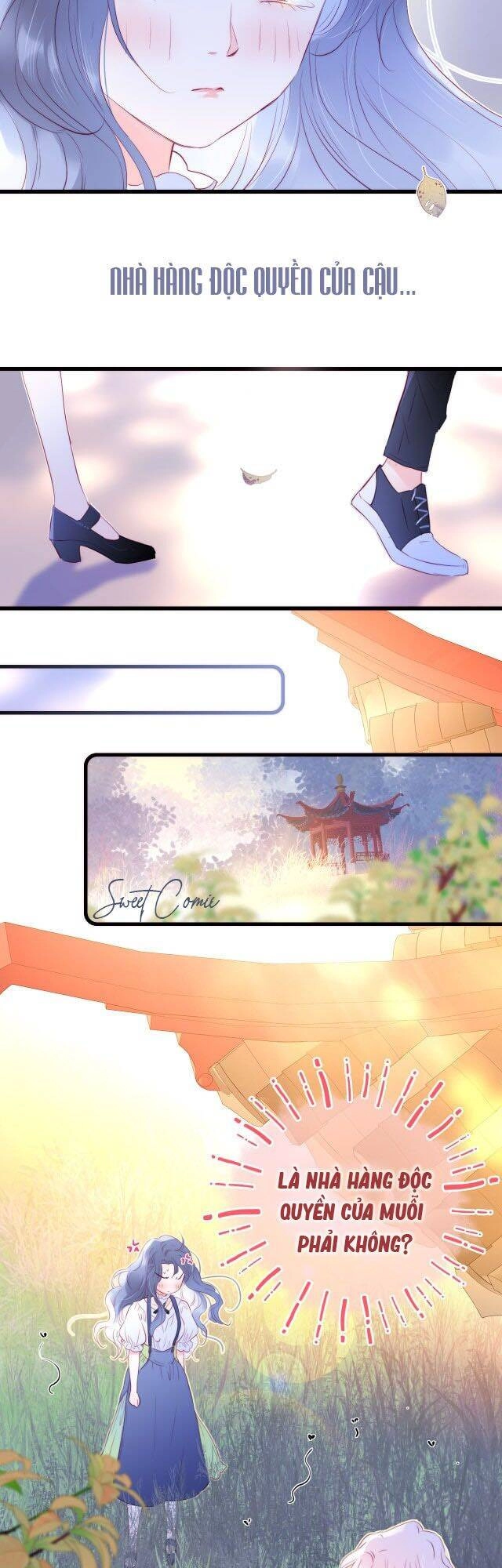 Chạy Trốn Cùng Con Nhím Chapter 10 - 2