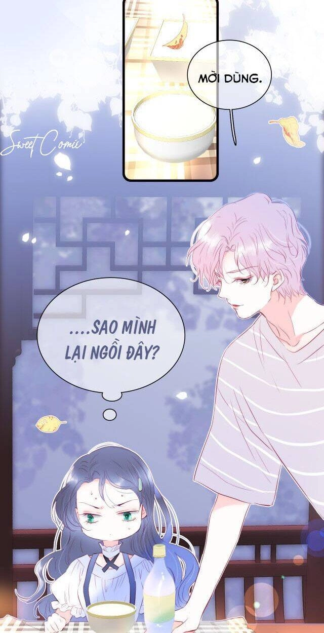 Chạy Trốn Cùng Con Nhím Chapter 10 - 9