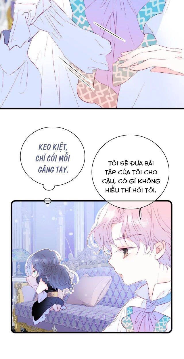 Chạy Trốn Cùng Con Nhím Chapter 10 - 23