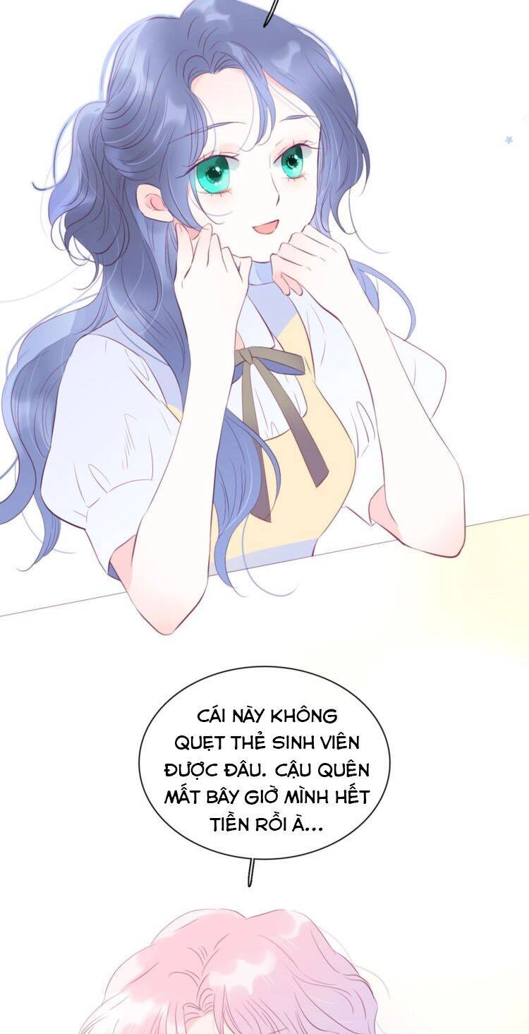 Chạy Trốn Cùng Con Nhím Chapter 15 - 7