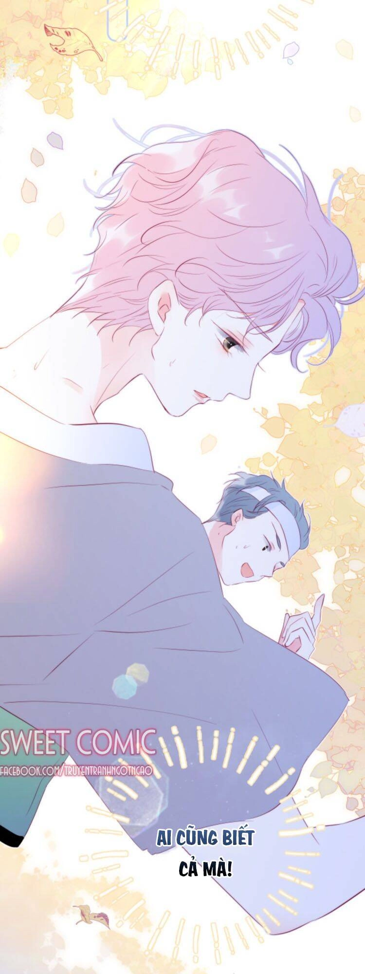 Chạy Trốn Cùng Con Nhím Chapter 15 - 21