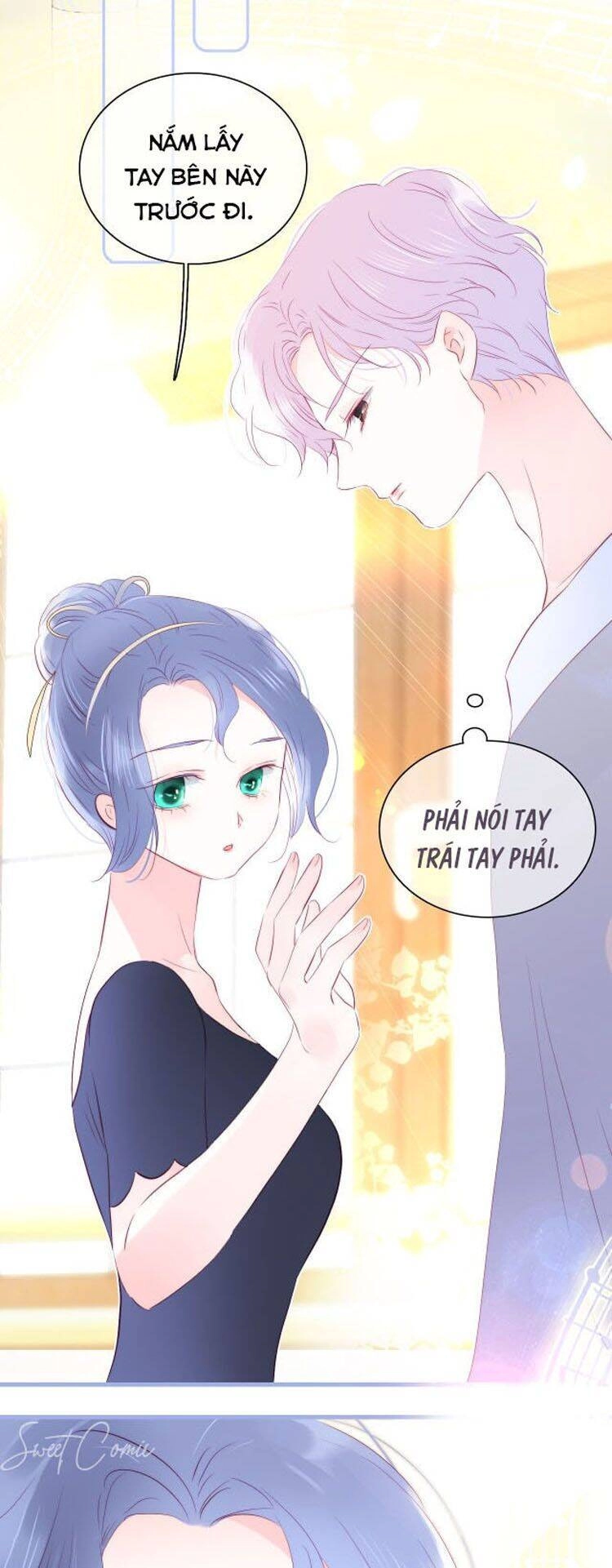 Chạy Trốn Cùng Con Nhím Chapter 16 - 20