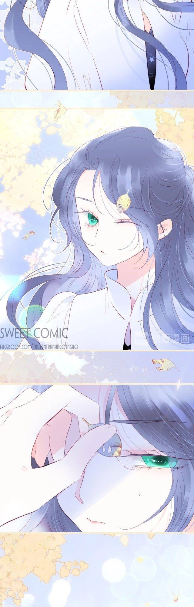 Chạy Trốn Cùng Con Nhím Chapter 18 - 28