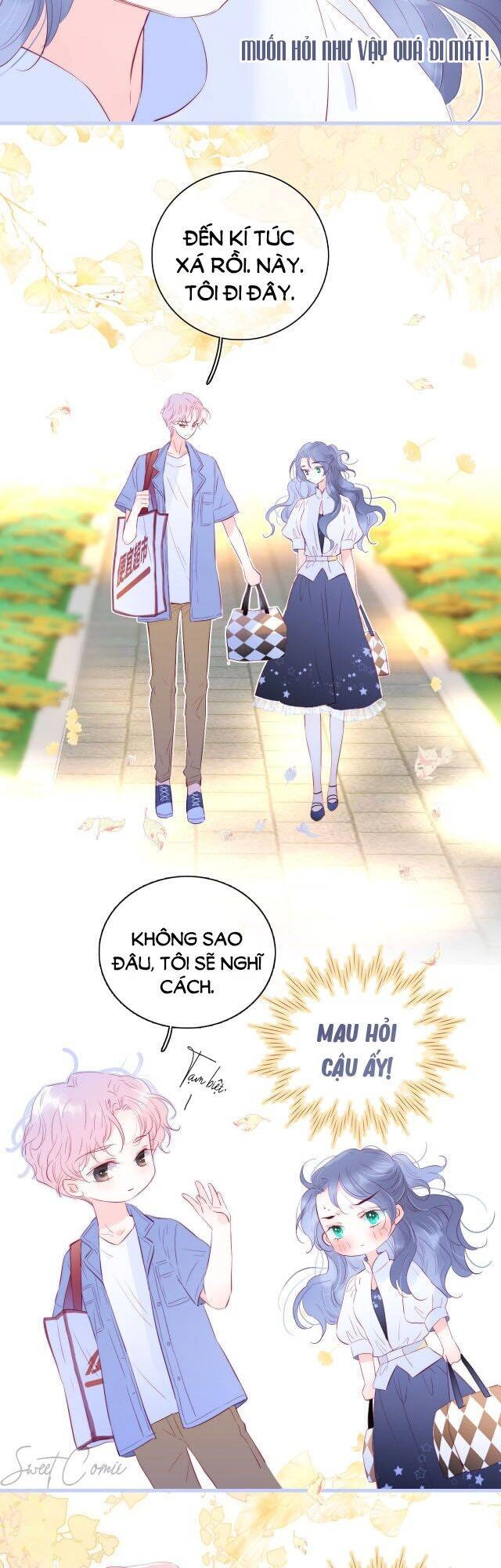 Chạy Trốn Cùng Con Nhím Chapter 19 - 6