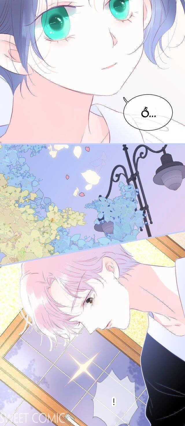 Chạy Trốn Cùng Con Nhím Chapter 19 - 19