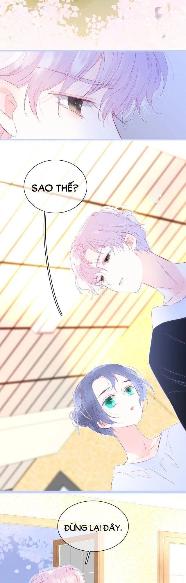 Chạy Trốn Cùng Con Nhím Chapter 19 - 23